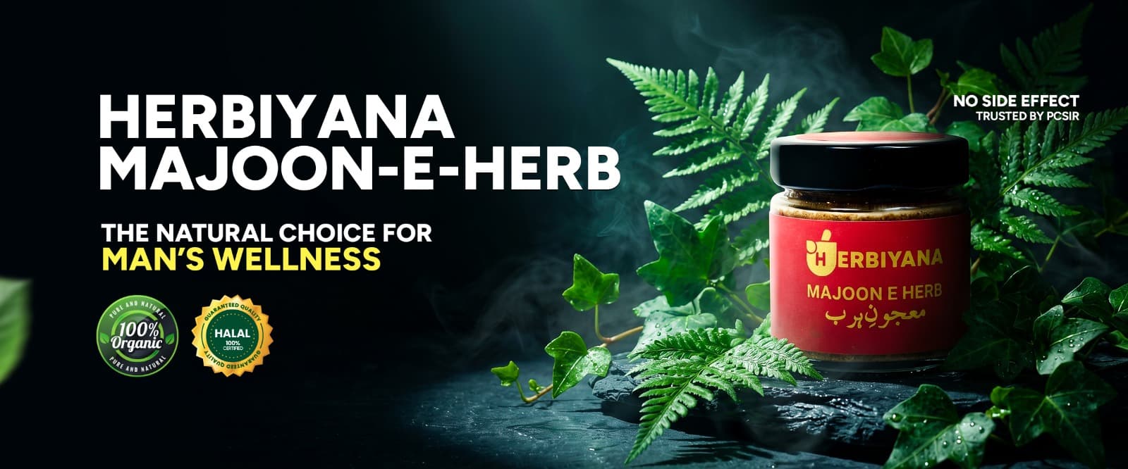 Herbiyana Majoon E Herb
